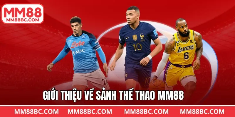Nét chính về sức hút của thể thao MM88 Nét chính về sức hút của thể thao MM88