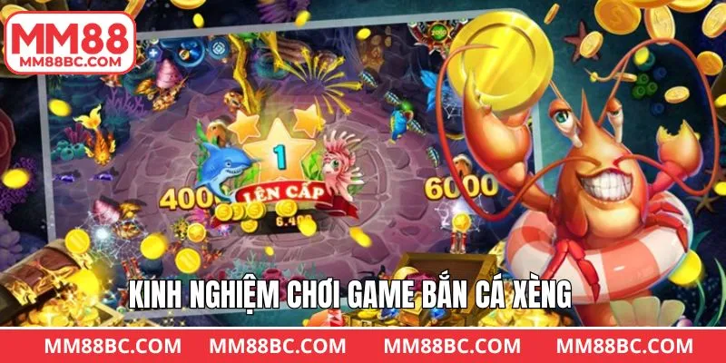 Kinh nghiệm chiến thuật chơi săn cá bất bại thắng lớn Kinh nghiệm chiến thuật chơi săn cá bất bại thắng lớn